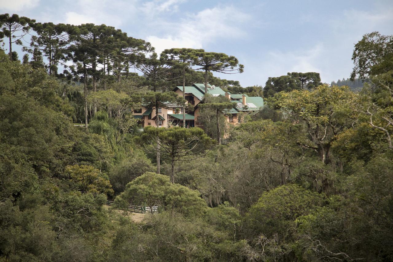 Hotel Refúgio Monte Olimpo Campo Alegre  Exterior foto